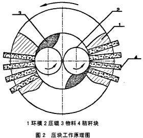 30码期期必中