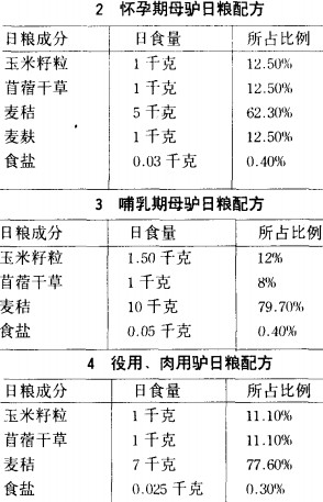 30码期期必中