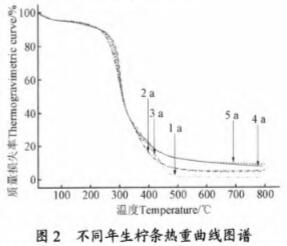 30码期期必中