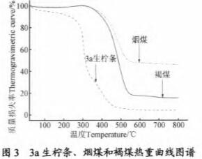 30码期期必中